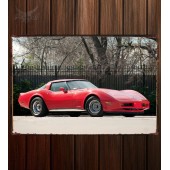 Металлическая табличка Corvette  188
